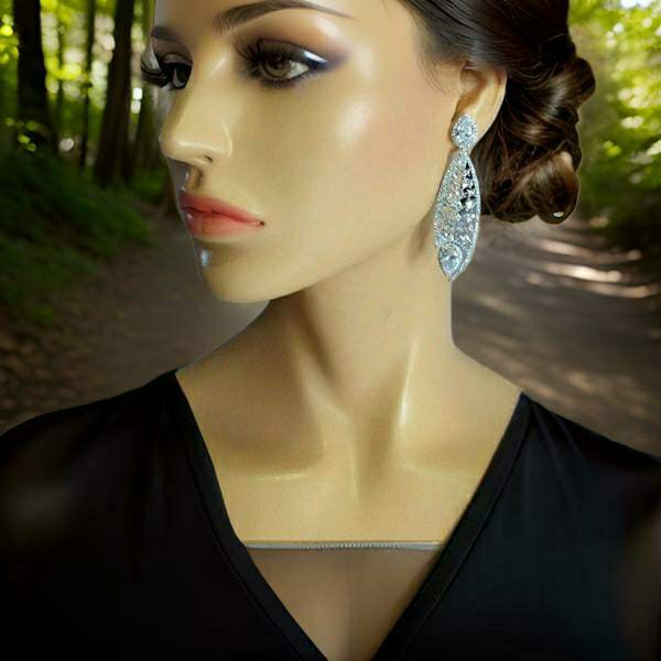 Splended Zirconia Long Earrings